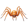 ແມງມຸມ